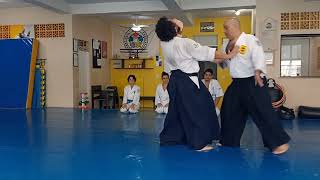 Aikido é sobre isso [upl. by Eliseo728]