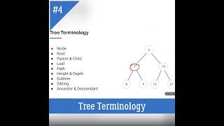 Basic Terminology of Tree  DSA using Python  Subtree Siblings Ancestor python coding binarytree [upl. by Gnouhc]