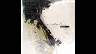 Assemblage 23  Damaged [upl. by Yarezed824]