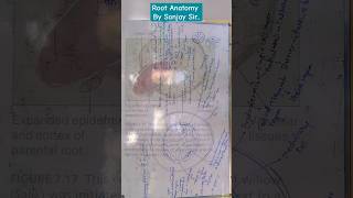 Dicot amp Monocot Root Anatomy by Sanjay Mandawariya ytshorts plantanatomy dicotroot monocot [upl. by Namara]