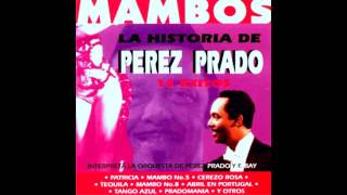 PEREZ PRADO  ♫♫ GRANDES EXITOS ♫♫ [upl. by Fenella1]