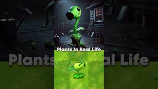 PVZ Plants in real life plantsvszombies funnyshorts pvz funnymoments [upl. by Sotnas823]