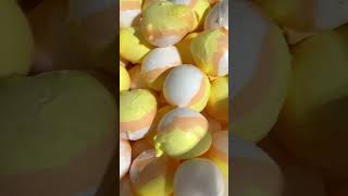 Limited time only Freeze dried candy corn salt water taffy [upl. by Atiran]