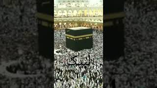 Muslim Pilgrims circumambulate the Kaaba [upl. by Akienahs53]