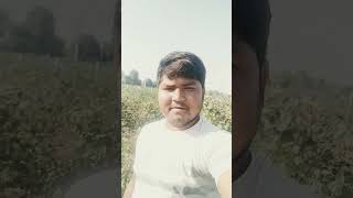 Hu jato godi kamma dashratthakor2024nusong song newvideosong gujaratilovesong [upl. by Aynuat]