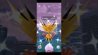 Finally Shiny Zapdos  Pokemon go Raids June  Pokemon go  pokemongo raid shorts [upl. by Pasahow]