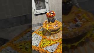 bholanath shankara shivshiv mahadevstatus shivshivshiv kaalsarpdoshnivaran song [upl. by Takken626]