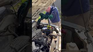 Venomous RedBellied Black Snake Untangled From Engine Bay [upl. by Arihsa]