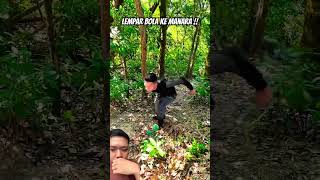 Lempar bola ke menara travel kungfu hiking vlog funny facts [upl. by Tillie19]