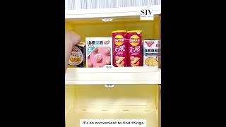 SIV 4050cm Gap Storage Organizer Magnetic Door Foldable Storage Cabinet Installation Video [upl. by Carolann]