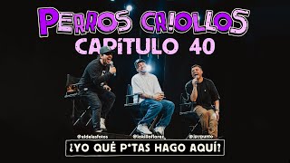 PERROS CRIOLLOS  YO QUÉ PUT455 HAGO AQUÍ CAP 40 [upl. by Saied]