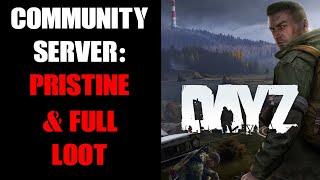 How To Make Loot Spawn Undamaged Pristine Full amp Last Longer On DayZ Console Community Server [upl. by Chandler]