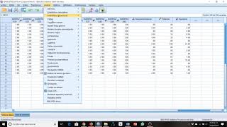 Calculando dimensiones confiabilidad y frecuencias en SPSS [upl. by Netsriik]