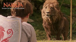 The arrival of the brothers in Narnia  Narnia The Lion The Witch and the Wardrobe [upl. by Hittel]