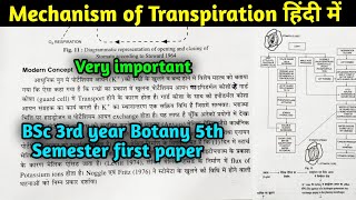 Mechanism of Transpiration in hindi  Opening and Closing of Stomata  BSc 3rd year Botany 5th Sem [upl. by Adrell]