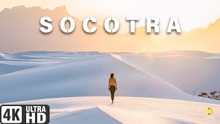 Socotra Island Yemen  Step Into Another World  4K Cinematic [upl. by Itsyrc]