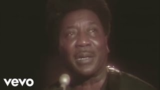 Muddy Waters  Hoochie Coochie Man Live [upl. by Zosima]