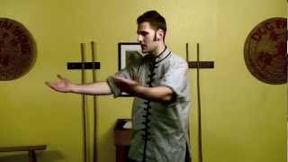 Tai Chi Technique  Repulse Monkey Exercise [upl. by Latsyk]