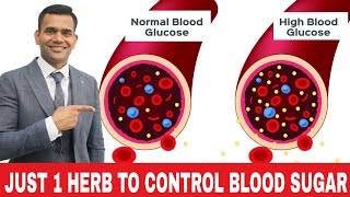 Just 1 Spice To Control Blood Sugar  Control Blood Sugar with Natural Herb [upl. by Assirok]