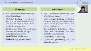 Jägerprüfung Niedersachsen Unterschiede Ablege und Folgetyp beim Schalenwild [upl. by Inej]