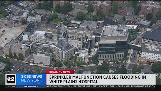 White Plains Hospital patients moved due to sprinkler malfunction [upl. by Rugg]