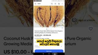 පොල් ලෙලි  Direct Shipping Sinhala  Ebay Direct Shipping Sinhala  ebay dropshipping  TECH ZED [upl. by Couture731]