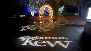 Christmas at Kew Jan 2022  Cool Projection onto Trees in 4K [upl. by Ahsiekyt]