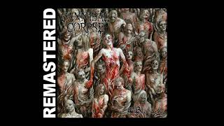 CANNIBAL CORPSE  quotThe Bleedingquot Remastered by Slim Rodrigüez [upl. by Boar]