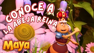 CONOCE A LA ABEJA REINA DE LA COLMENA🐝👑 MEJORES CAPÍTULOS DE MAYA para niños en ESPAÑOL 🐝 [upl. by Evelina]