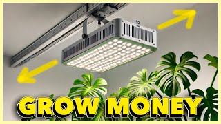 Grow LIGHT MOVERS save you BIG [upl. by Xanthus]