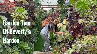 Aeonium and Tropical Garden Visit [upl. by Eenafit]