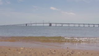 What condition are the Bay Bridges in Heres what a report from the MDTA says [upl. by Orazio395]