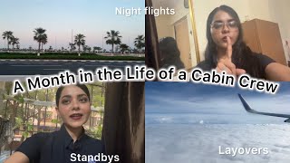 A Month in the Life of a Cabin Crew  Air Hostess Schedule  Flight Attendant [upl. by Gabriella]