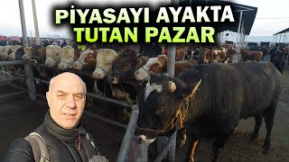 Sivas Şarkışla Canlı Hayvan Pazarı Piyasaya Direniyor [upl. by Staley]