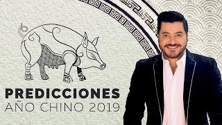 PREDICCIONES AÑO CHINO DEL CERDO 2019 [upl. by Parthena]