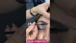 💝 BROW LAMINATION browlamination [upl. by Pasia716]