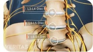 Understanding the Lumber nerve L4  anatomy and function [upl. by Rehpotirhc]