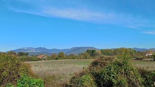 Niška pijaca i cene paprike i kupusa amp Putovanje autoputem od Niša do Beograda  Niš 22 10 2024 [upl. by Ranitta]