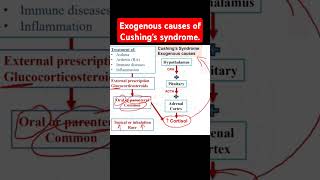 Exogenous causes of Cushings syndrome [upl. by Adnahcir]