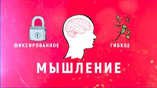 ГИБКОЕ VS ФИКСИРОВАННОЕ МЫШЛЕНИЕ Как добиваются успеха [upl. by Euqor966]