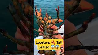 Grilled Lobsters Tail 😱😋 asmr mukbang lobster seafood shorts food HealthDirectindiaseo [upl. by Henarat]