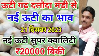 Dalauda mandi new ooty garlic rate today 21 दिसंबर 2023 new garlic rate nai lahsun ka bhav [upl. by Aciret]