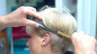 Sfoltire i capelli con Forbice Professionale Elio  Parte 2 [upl. by Nahk]