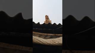 Monkey lover bandar  monkey milk feed bandar monkeyvideo monkey🙊🐒 [upl. by Eniahs235]