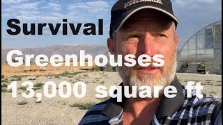 Ultimate Prepper 13000 square feet of Greenhouse Space to Sustain Family and Friends [upl. by Major]