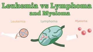 Leukemia vs Lymphoma vs Myeloma [upl. by Yeargain]