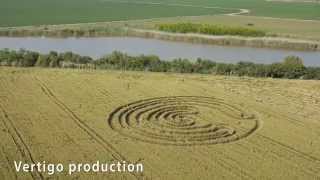 Krugovi u zitu Crop Circles Turija Srbija 2014 [upl. by Bussey]