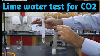 Limewater Test for Carbon Dioxide gas  Testing for CO2 Carbon dioxide with Limewater [upl. by Osrit720]