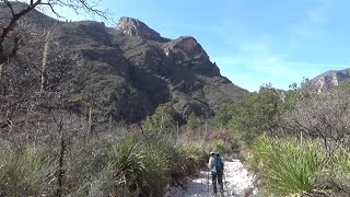 McKittrick Canyon 2024 Guadalupe Mtns Natl Park [upl. by Delamare203]