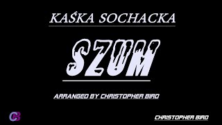 KAŚKA SOCHACKA  SZUM KARAOKEINSTRUMENTALarranged by Christopher Bird [upl. by Skipper504]